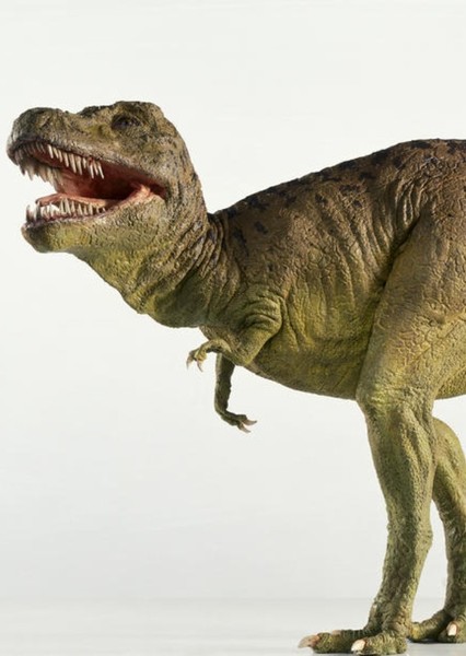 Tyrannosaurus Rex photo