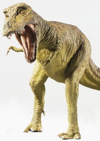 Tyrannosaurus Rex photo