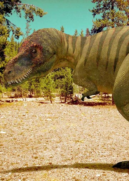 Tyrannosaurus Rex photo