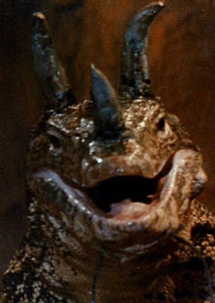 Tyrannosaurus Rex photo