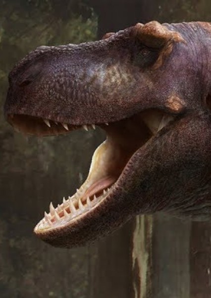 Tyrannosaurus Rex photo