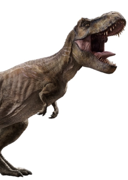 Tyrannosaurus Rex photo