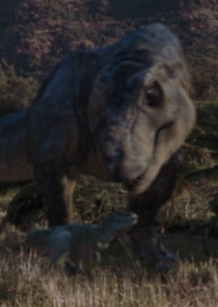 Tyrannosaurus Rex photo
