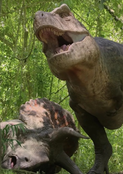 Tyrannosaurus Rex photo