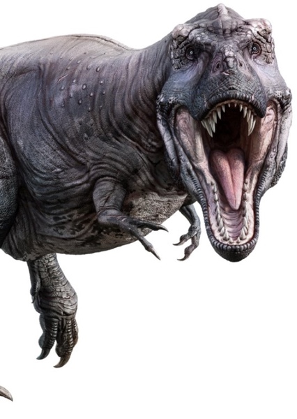 Prehistoric Creatures