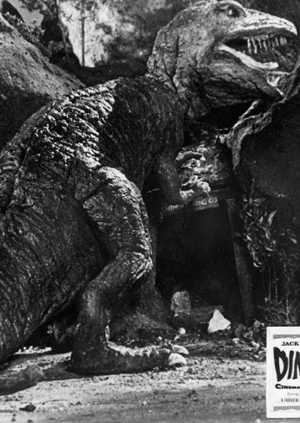 Tyrannosaurus Rex (Dinosaurus!) photo