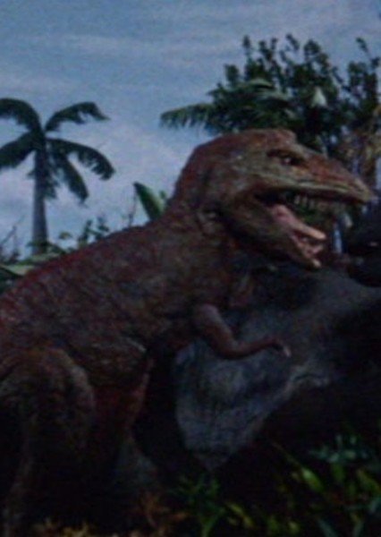 Tyrannosaurus Rex (Dinosaurus!) photo