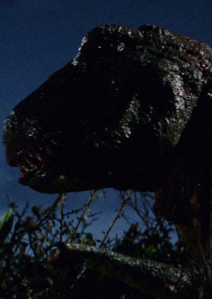 Tyrannosaurus Rex (Dinosaurus!) photo