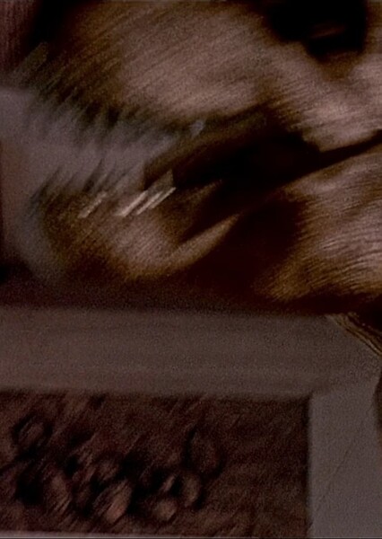 The Disappearing Reappearing Raptor