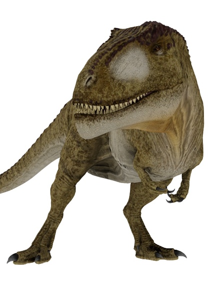 Tyrannotitan photo