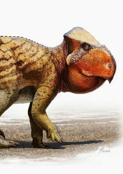 Udanoceratops