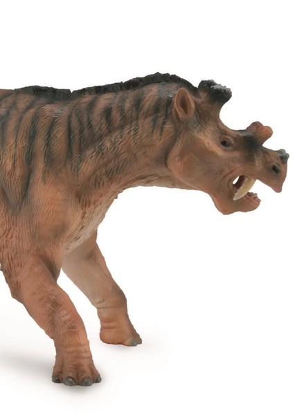 Uintatherium photo