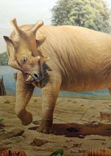 Uintatherium photo