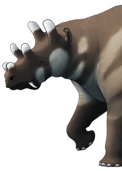 Uintatherium