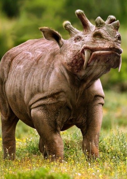 Uintatherium