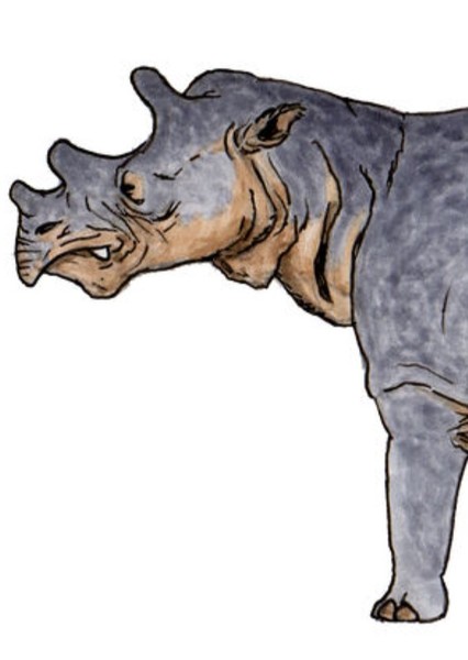 Uintatherium photo