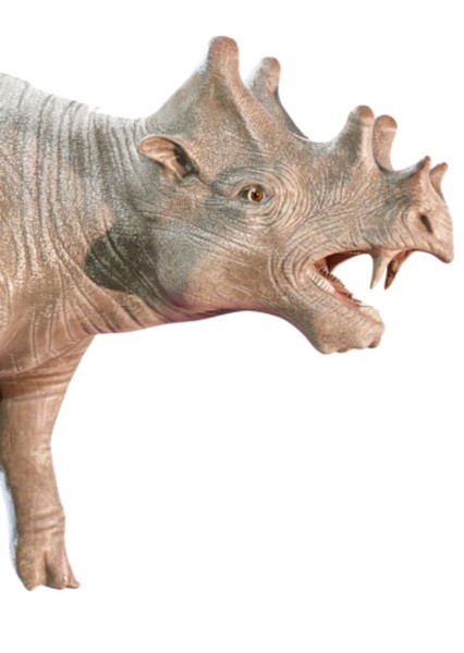 Uintatherium photo