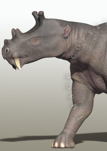 Uintatherium photo