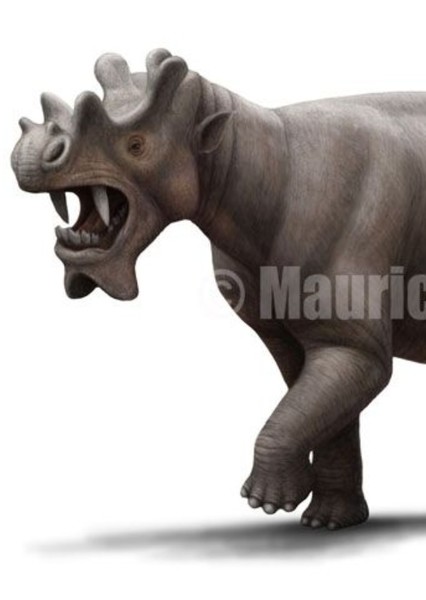 Uintatherium photo