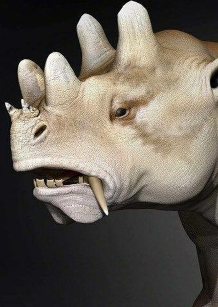 Uintatherium photo