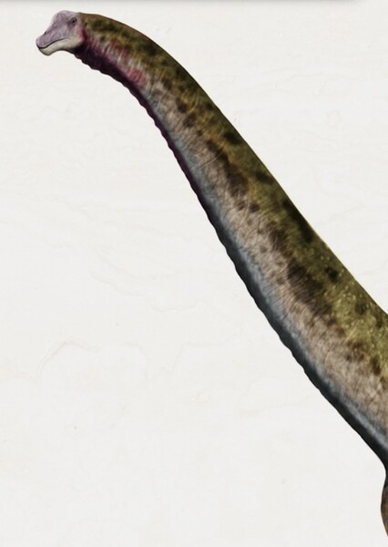 Ultrasaurus photo