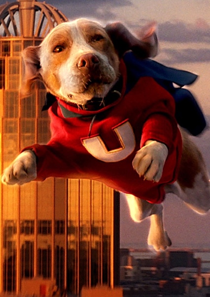 Underdog photo