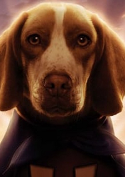 Underdog photo