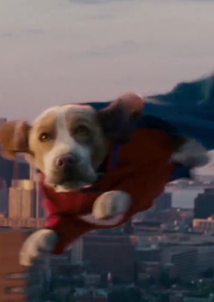 Underdog photo