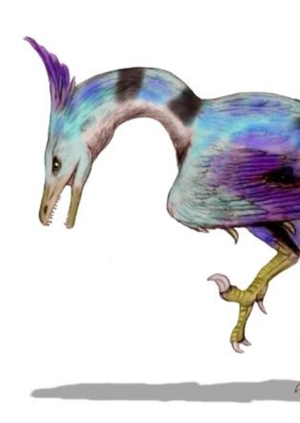 Unenlagia