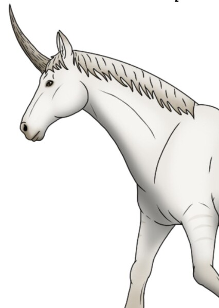 Unicorn photo