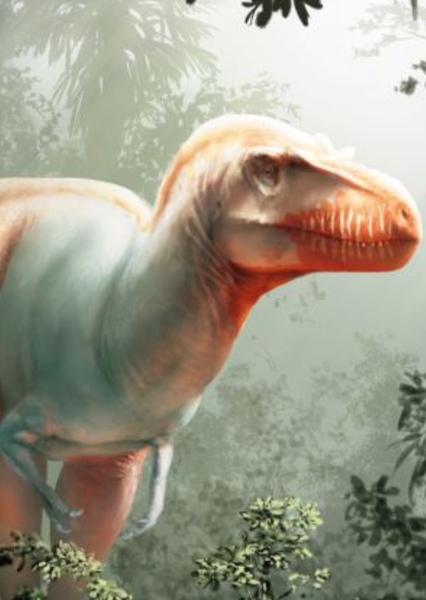 Unidentified Tyrannosaur