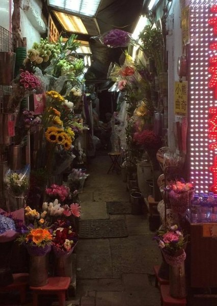 Unknown Level (backrooms)
