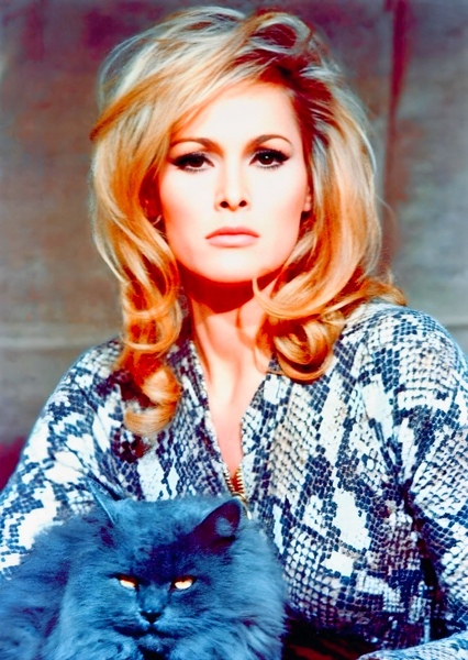 Ursula Andress photo