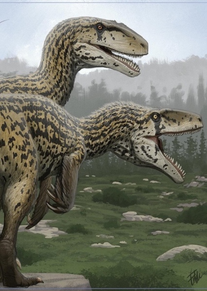 Utahraptor photo