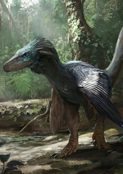 Utahraptor photo