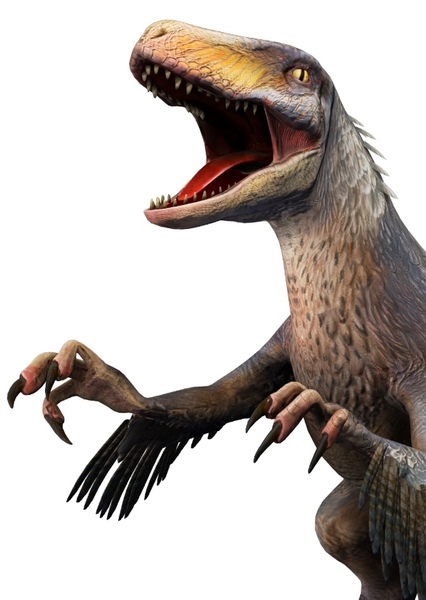 Utahraptor photo