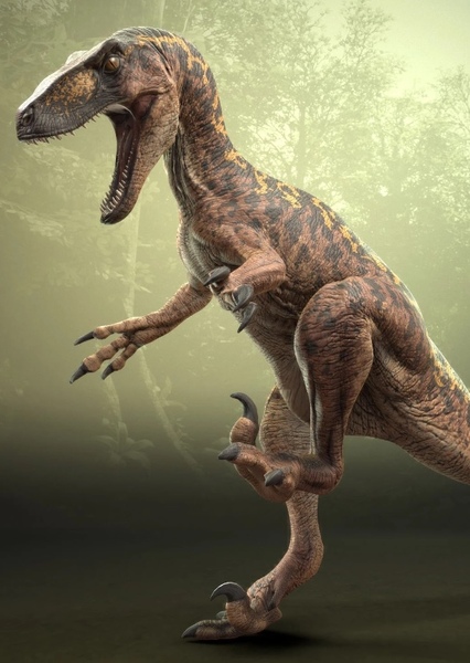 Utahraptor photo