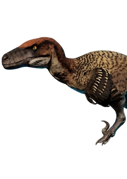 Utahraptor photo