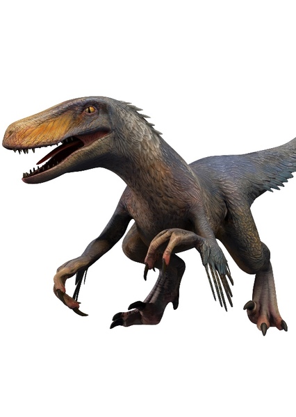 Utahraptor photo