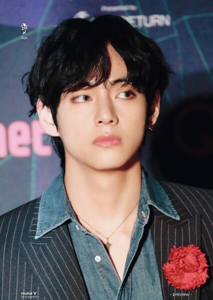 V (Kim Tae-hyung)