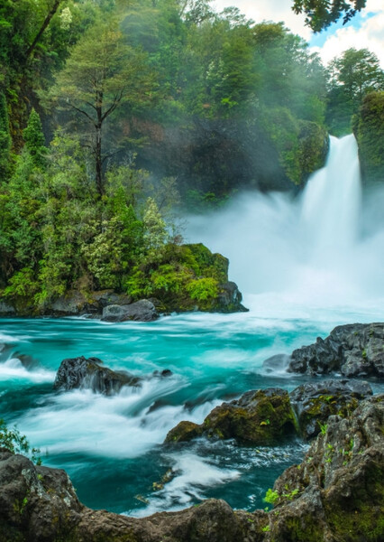 Valdivian Temperate Rainforest