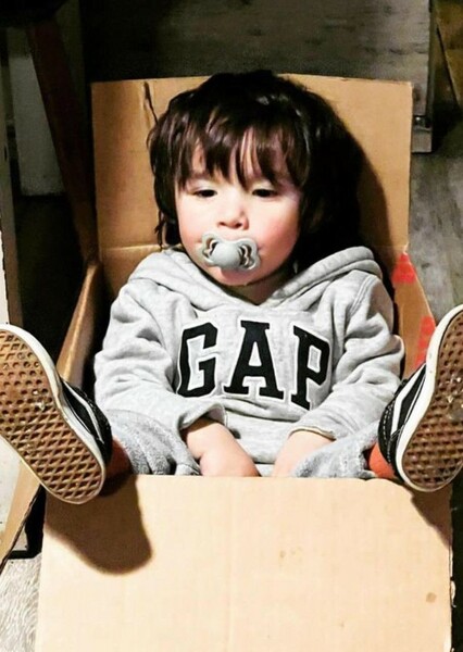 Valentino Fan Casting