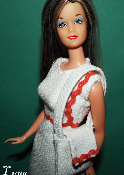 Valerie (Mexico Exclusive Barbie) photo