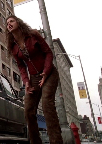 Vanessa Ferlito photo