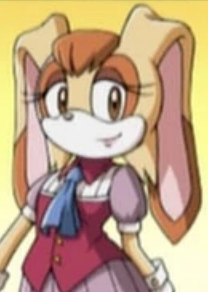 Vanilla the Rabbit (Sonic X) photo
