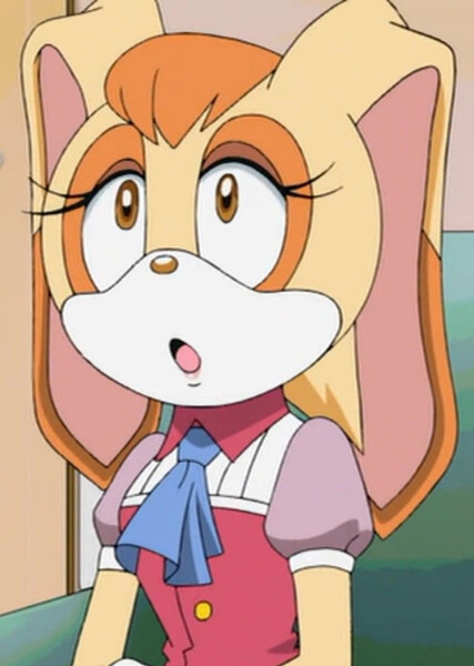 Vanilla the Rabbit (Sonic X) photo