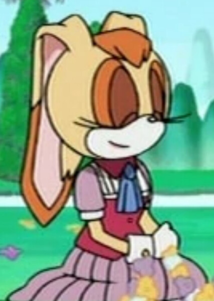 Vanilla the Rabbit (Sonic X) photo