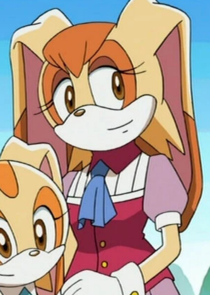 Vanilla the Rabbit (Sonic X) photo