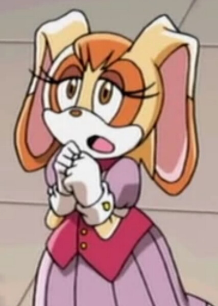 Vanilla the Rabbit (Sonic X) photo