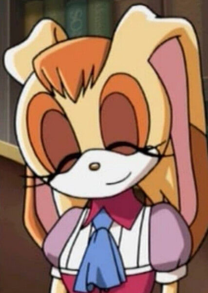 Vanilla the Rabbit (Sonic X) photo